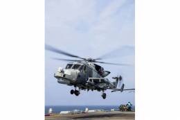 Un Wildcat con un Sea Venom bajo el semiala (Royal Navy)