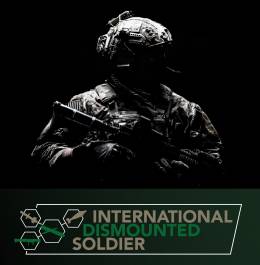 El equipo y armamento de los combatientes actuales poco tiene que ver con el que llevaban hace unos a�os. (International Dismounted Soldier Conference)
