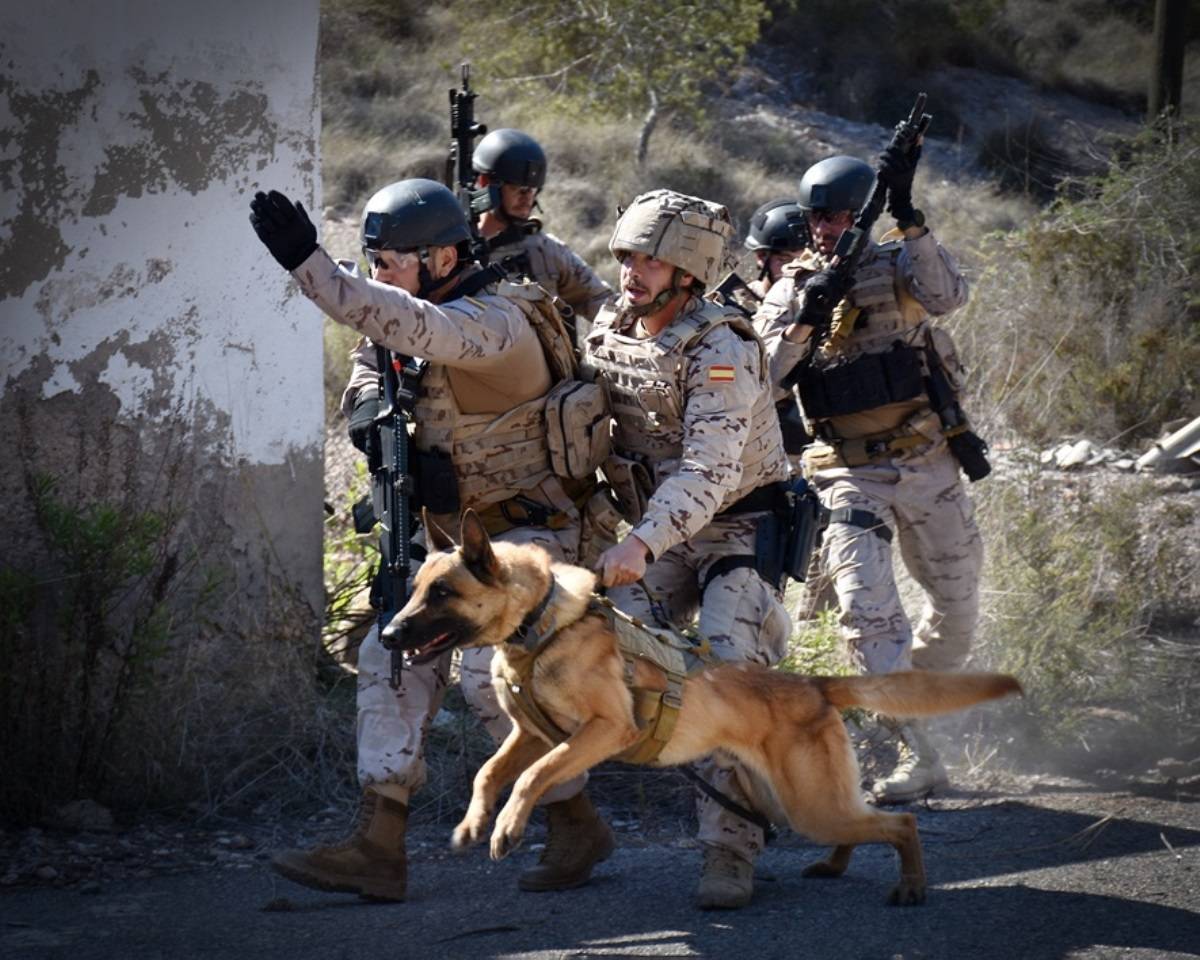 La FUPRO realiza ejercicios caninos en Cartagena (foto Armada española) La FUPRO realiza ejercicios caninos en Cartagena (foto Armada española)