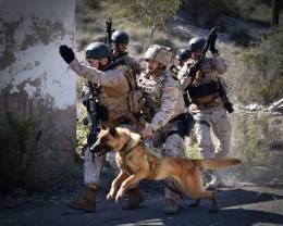 La FUPRO realiza ejercicios caninos en Cartagena (foto Armada espaola)