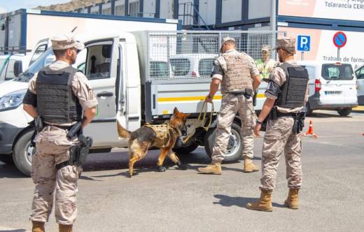 Revisi�n de un veh�culo por parte de un equipo cinol�gico de la Polic�a Naval. (foto FUPRO)