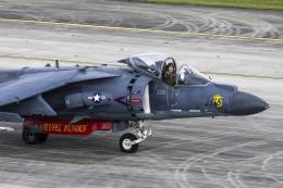 El �Harrier� II del VMA-223 "Bulldogs" especialmente pintado para el Airshow de Cherry Point de 2026. (foto USMC- Donovan Pimentel)
