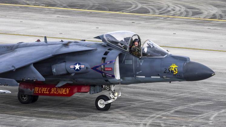 El �Harrier� II del VMA-223 "Bulldogs" especialmente pintado para el Airshow de Cherry Point de 2026. (foto USMC- Donovan Pimentel)
