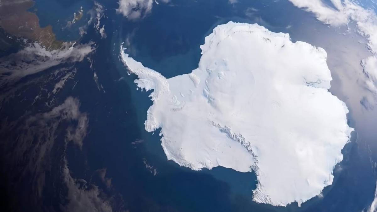 Ant�rtica el continente m�s austral del planeta Tierra. 