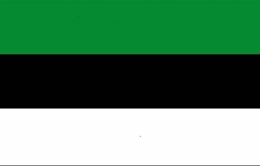 Bandera de la hipot�tica Rep�blica de Narva utilizada originalmente por algunos grupos en redes sociales con fines propagand�sticos, 26 de marzo de 2026 (v�a Wikimedia Commons, bajo licencia CC. Recuperado de link)