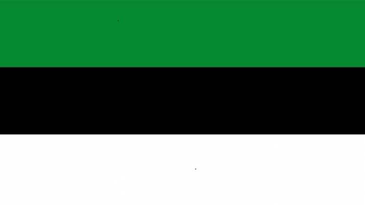 Bandera de la hipot�tica Rep�blica de Narva utilizada originalmente por algunos grupos en redes sociales con fines propagand�sticos, 26 de marzo de 2026 (v�a Wikimedia Commons, bajo licencia CC. Recuperado de link)