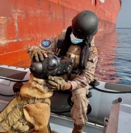 El perro “Bolt” de la Armada (Julio Maíz/defensa.com)